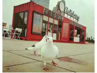 星海网红咖啡厅